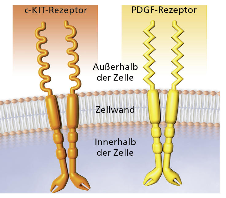 GIST Rezeptoren TRK