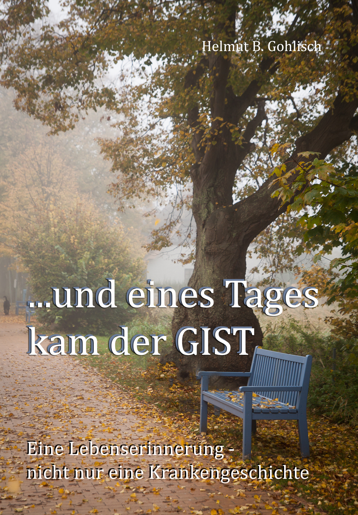 GIST Helmut eines tages