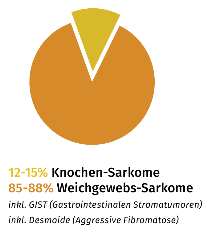 DSS 2020 Infografik Knochen Weich