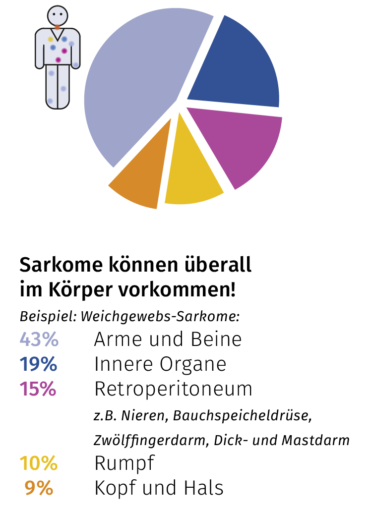 DSS 2020 Infografiken Im korper